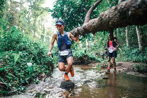 BIB: 
                            <button type="button" onclick="openModal(25369219)" class="btn btn-primary btn-sm float-right btn-popup" data-toggle="modal" data-target=".modal-high-quality">
                        <i class="fas fa-shopping-cart"></i> Add to Cart
                    </button>
                                            <button type="button" onclick="isThisMe(25369219, true)" class="btn btn-success btn-sm float-right btn-popup btn-isme hidden" data-toggle="tooltip" data-placement="bottom" title="นี่คือรูปของคุณใช่ไหม คลิกที่นี่เพื่อเอาเข้าอัลบั้ม">
                        <i class="fas fa-plus"></i> Add to album
                    </button>
                    <button type="button" onclick="isThisMe(25369219, false)" class="btn btn-warning btn-sm float-right btn-popup btn-isnotme hidden">
                        <i class="fas fa-ban"></i> Remove from album
                    </button>